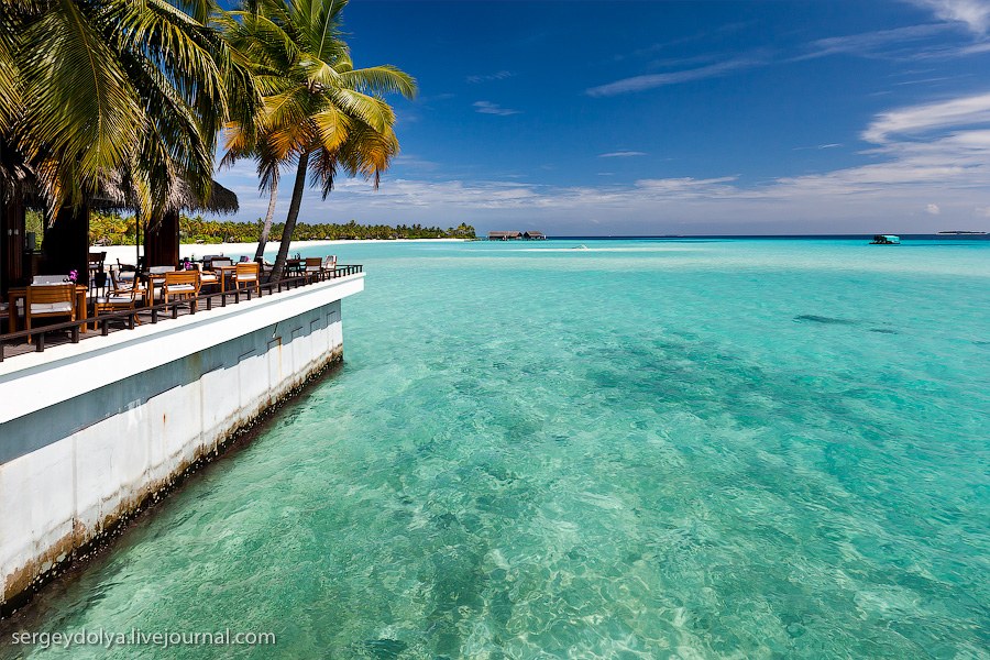 Фотография: Лучший в мире курортный отель на Мальдивах №29 - BigPicture.ru