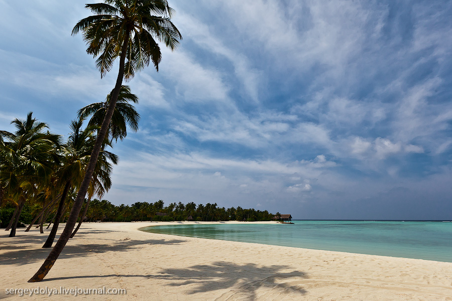 Фотография: Лучший в мире курортный отель на Мальдивах №4 - BigPicture.ru