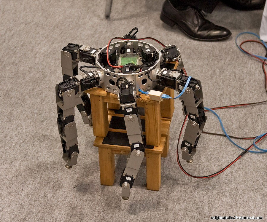 Фотография: Япония: Международная выставка роботов №37 - BigPicture.ru