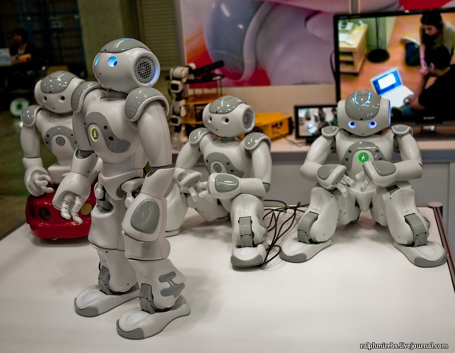 Фотография: Япония: Международная выставка роботов №55 - BigPicture.ru
