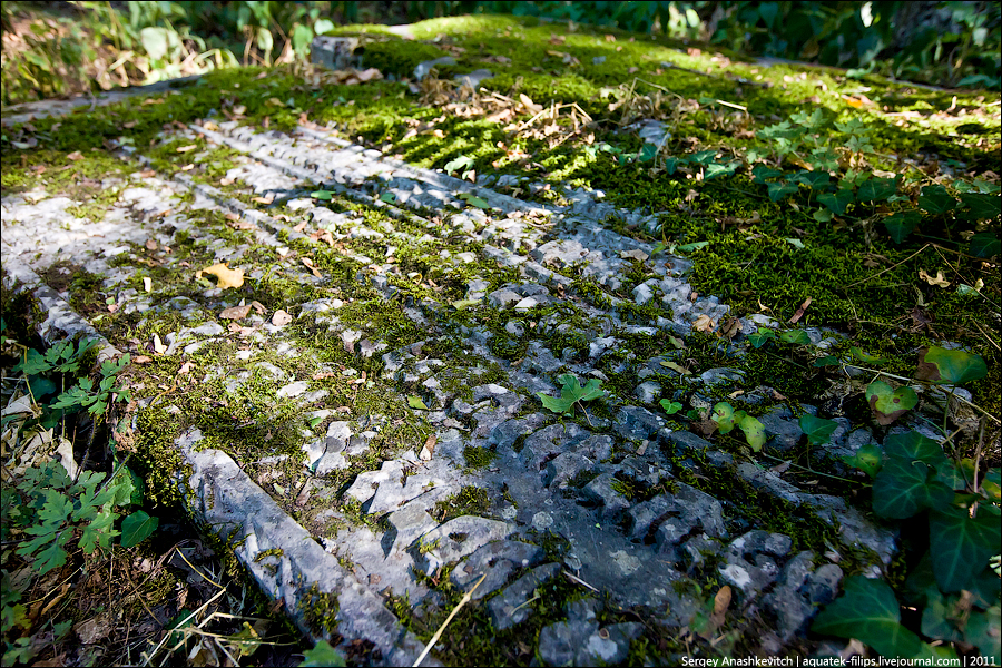 Фотография: Древнее караимское кладбище в Иосафатовой долине №7 - BigPicture.ru