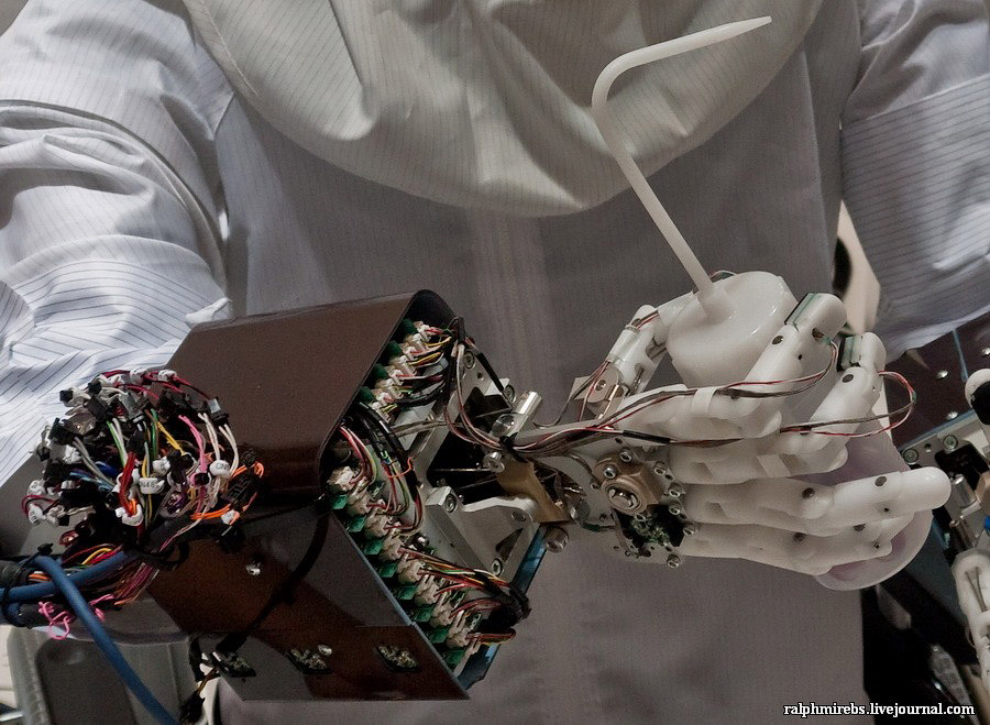 Фотография: Япония: Международная выставка роботов №64 - BigPicture.ru