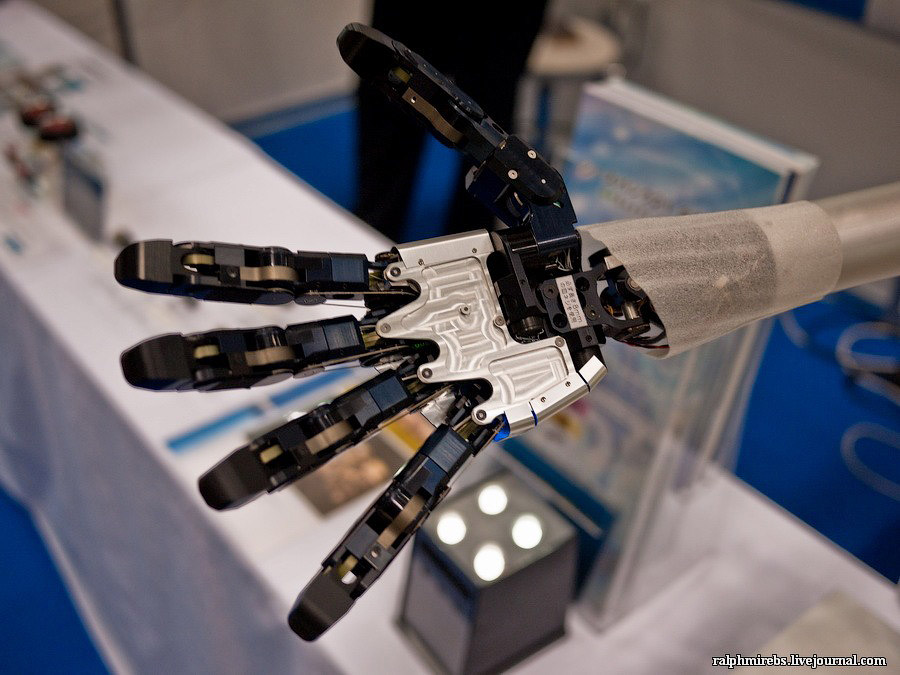 Фотография: Япония: Международная выставка роботов №65 - BigPicture.ru