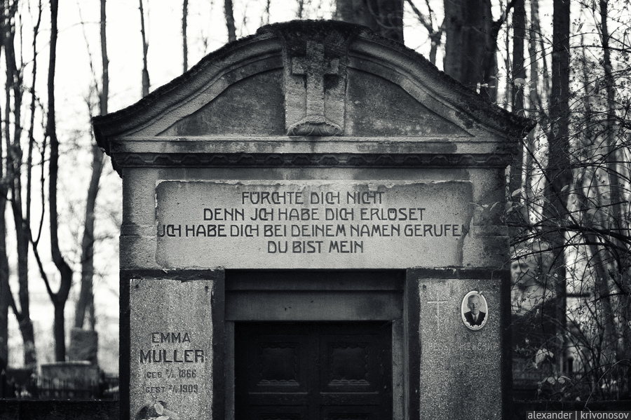 Фотография: Введенское кладбище №8 - BigPicture.ru