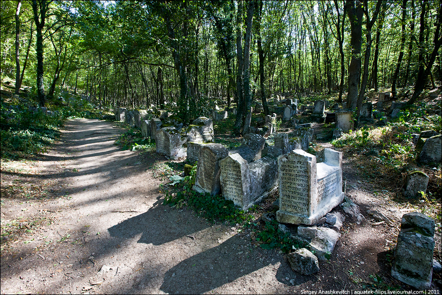 Фотография: Древнее караимское кладбище в Иосафатовой долине №9 - BigPicture.ru
