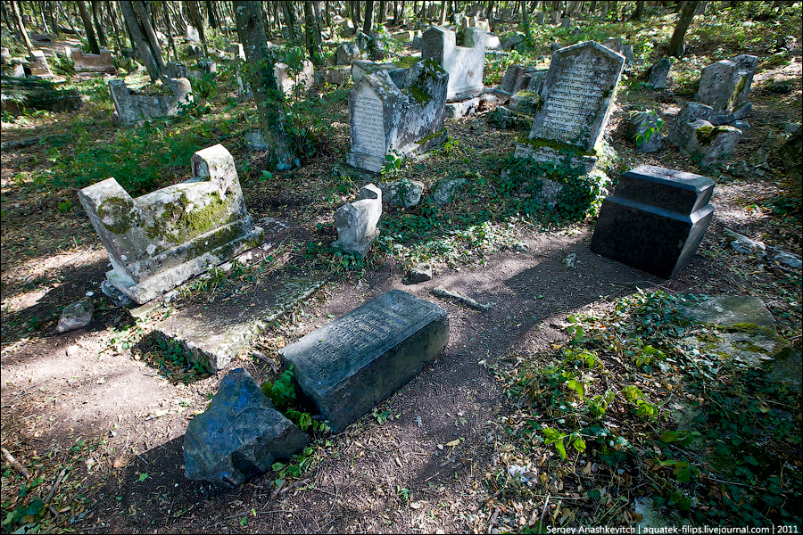 Фотография: Древнее караимское кладбище в Иосафатовой долине №10 - BigPicture.ru