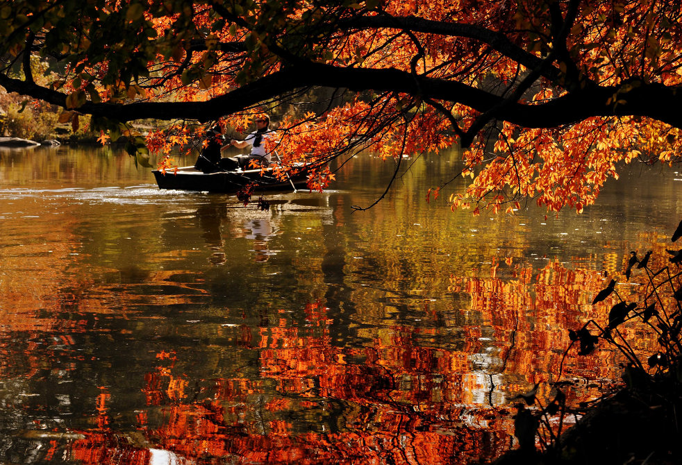 Фотография: Осенние краски №14 - BigPicture.ru