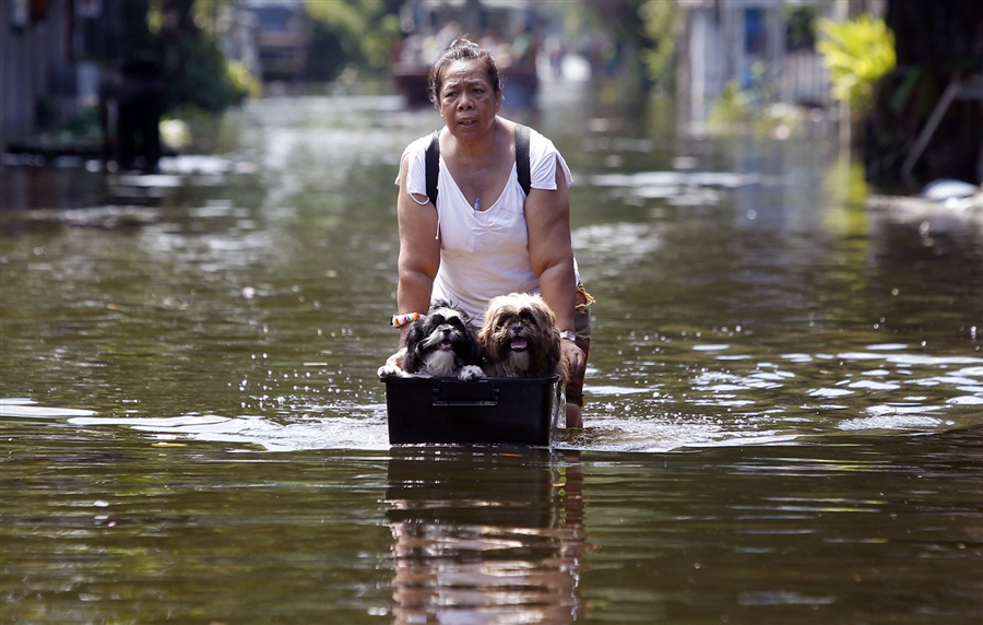 Фотография: Как находчивые тайцы справляются с последствиями наводнения №3 - BigPicture.ru