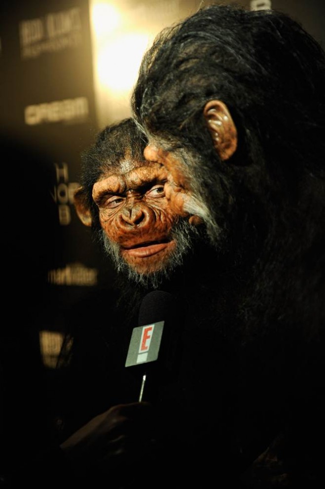 Фотография: Звездная подборка недели: Хайди Клум превратилась в обезьяну №16 - BigPicture.ru