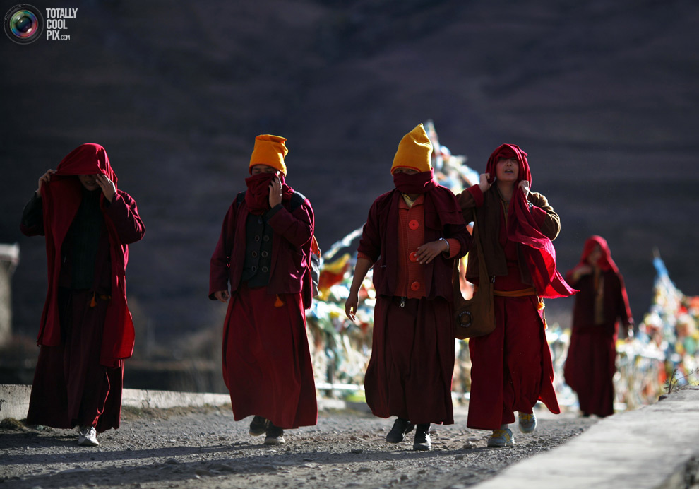 Фотография: Тибетские монахини №15 - BigPicture.ru