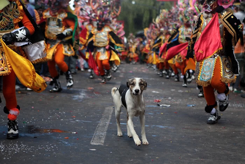Фотография: Боливийские праздники: Диаблада №28 - BigPicture.ru