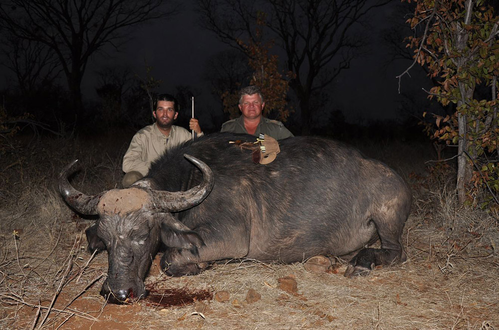 Фотография: Сыновья Дональда Трампа любят убивать животных №9 - BigPicture.ru