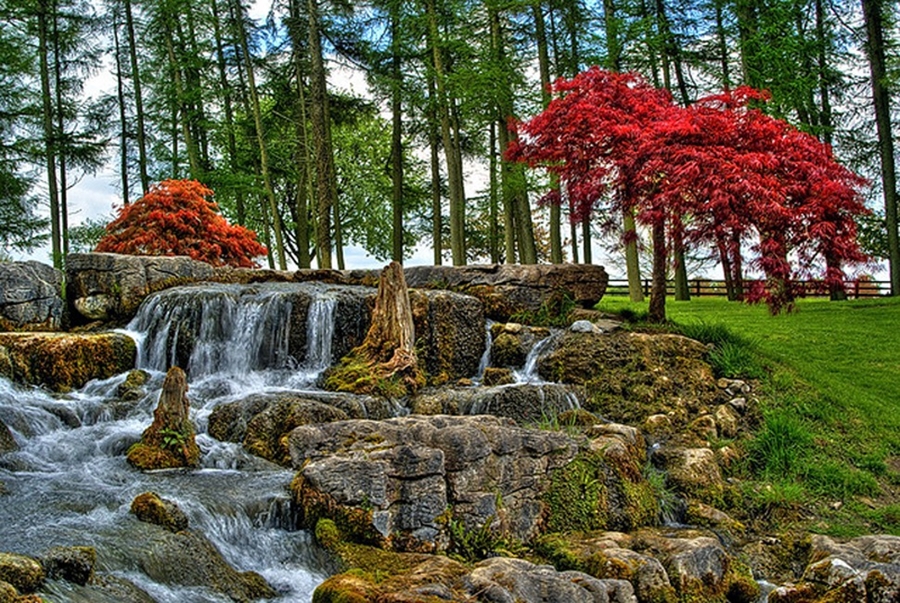 Фотография: Японский Сад Никка Юко в Канаде №15 - BigPicture.ru