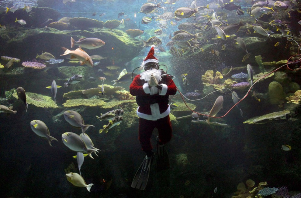 Фотография: Рождество с каждым днем все ближе №17 - BigPicture.ru
