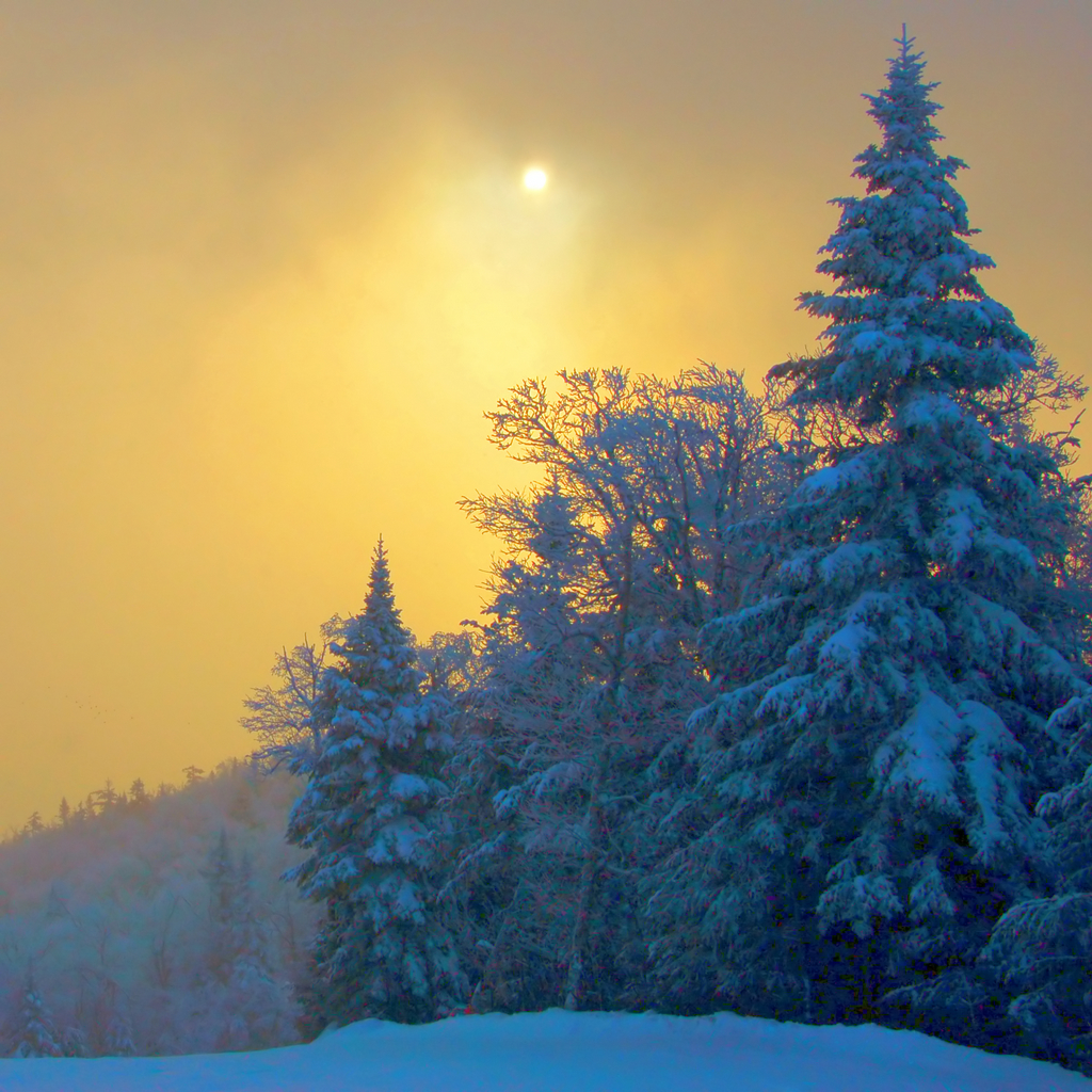 Фотография: Поэзия зимы №18 - BigPicture.ru