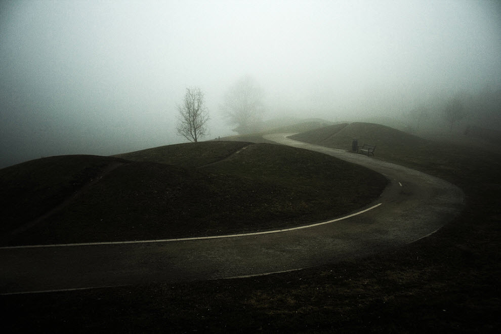 изумительные фотографии тумана