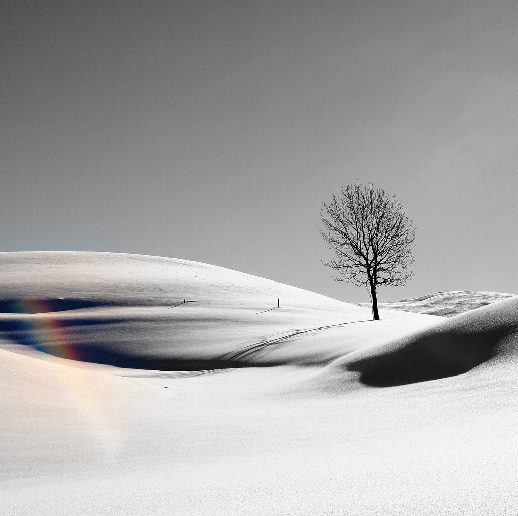 Фотография: Поэзия зимы №20 - BigPicture.ru