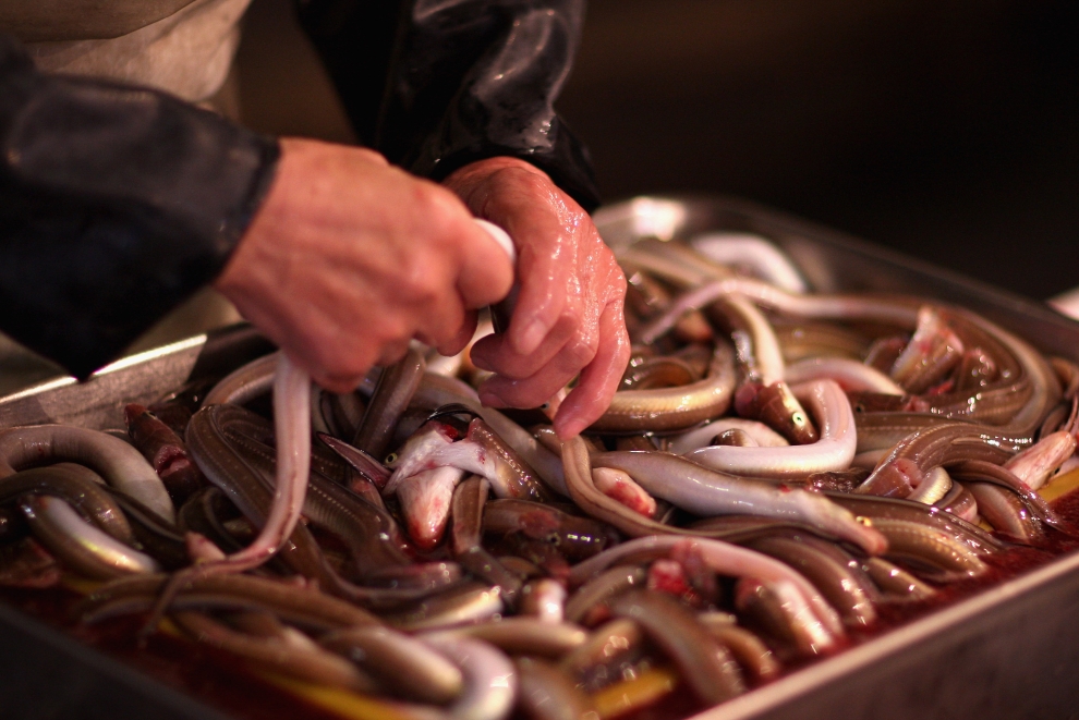 Фотография: Рыбный рынок Цукидзи №20 - BigPicture.ru