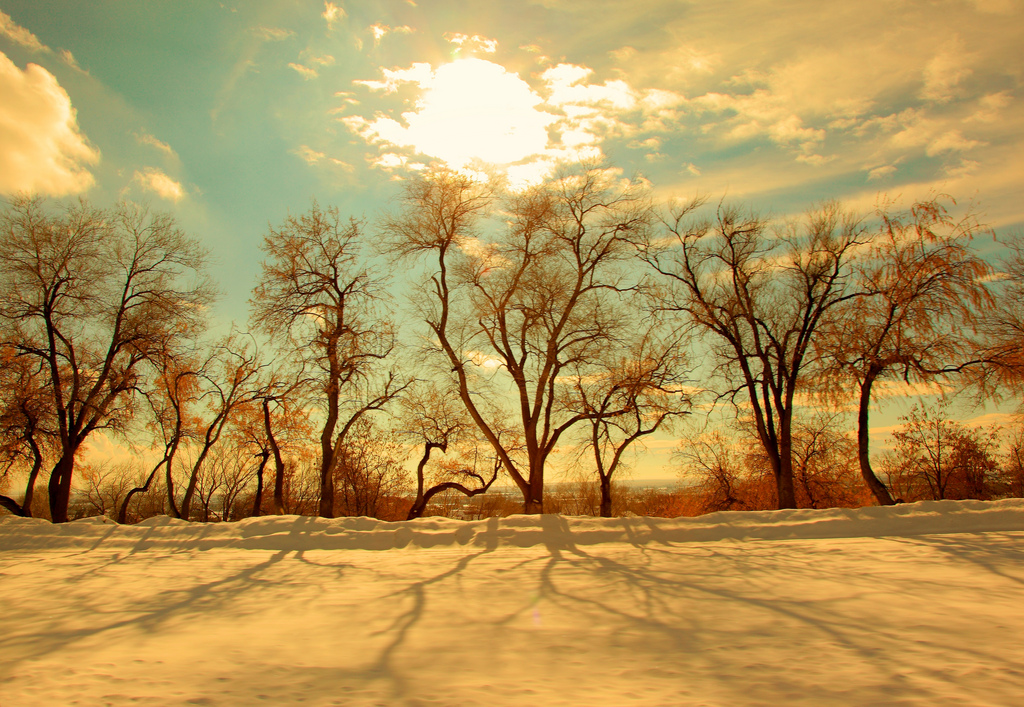 Фотография: Поэзия зимы №24 - BigPicture.ru