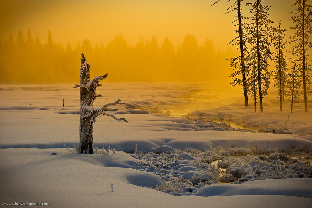 Фотография: Поэзия зимы №25 - BigPicture.ru