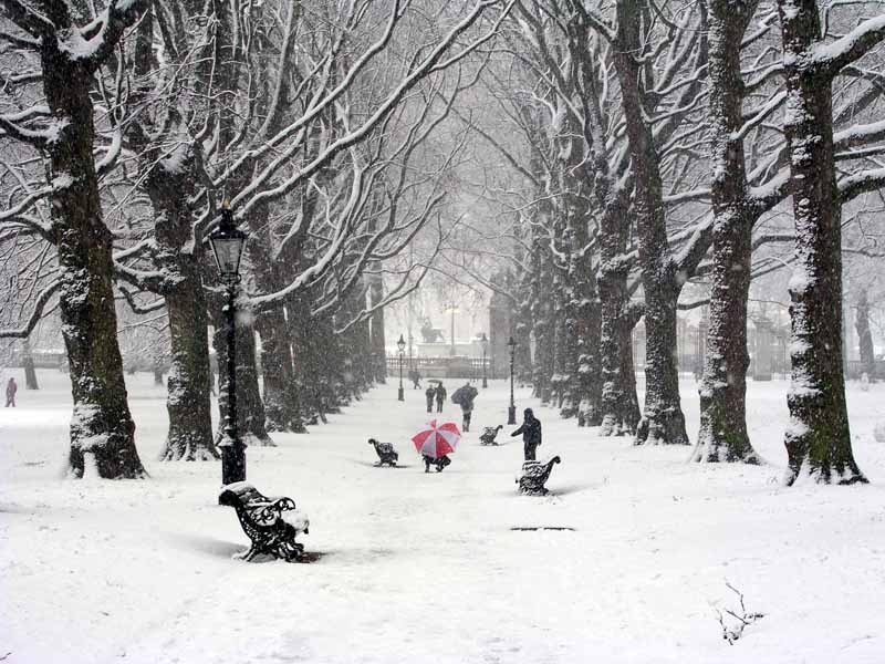 Фотография: Поэзия зимы №30 - BigPicture.ru