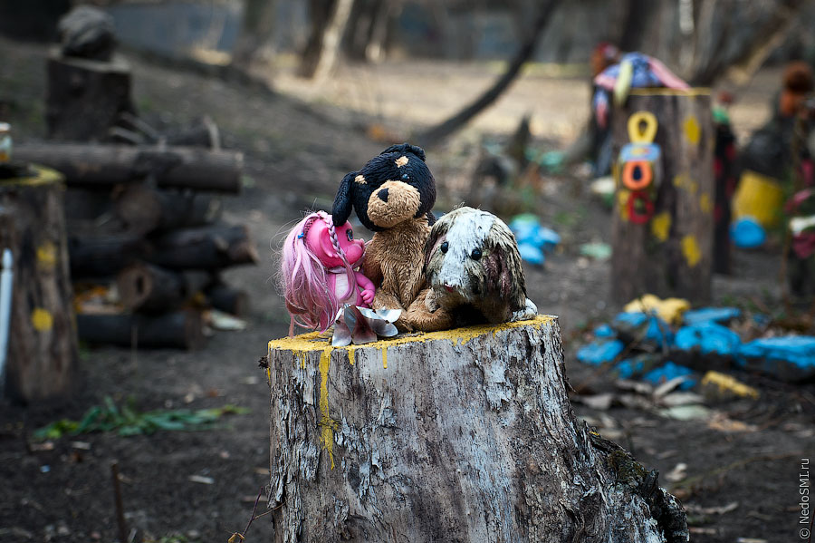 Фотография: Кладбище домашних игрушек №4 - BigPicture.ru