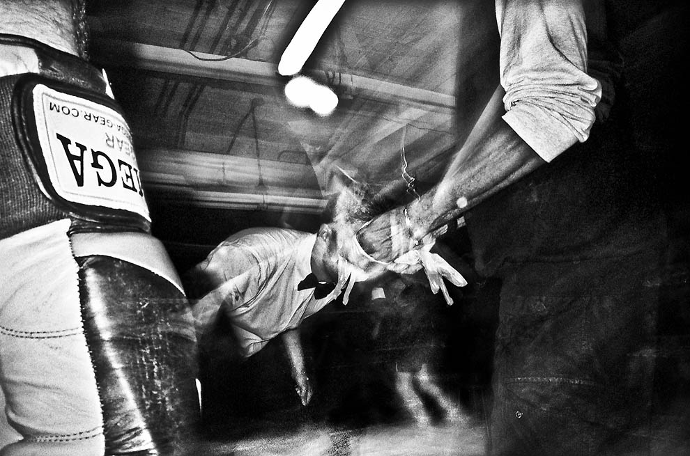 Фотография: Подпольный бокс в Нью-Йорке №6 - BigPicture.ru