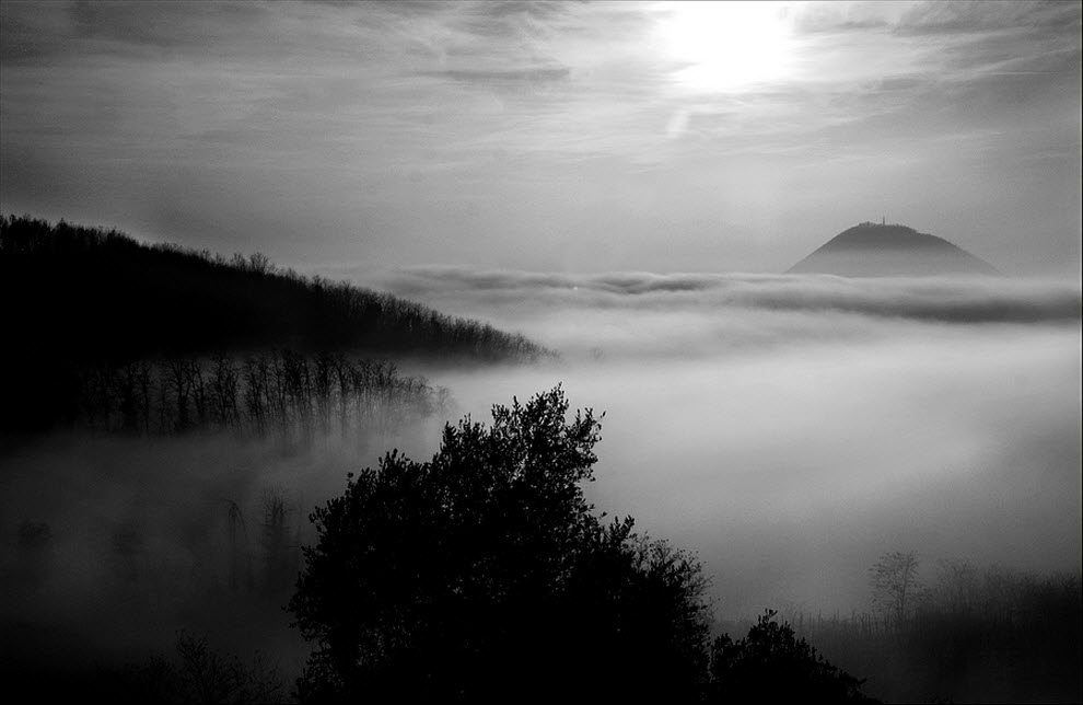 изумительные фотографии тумана