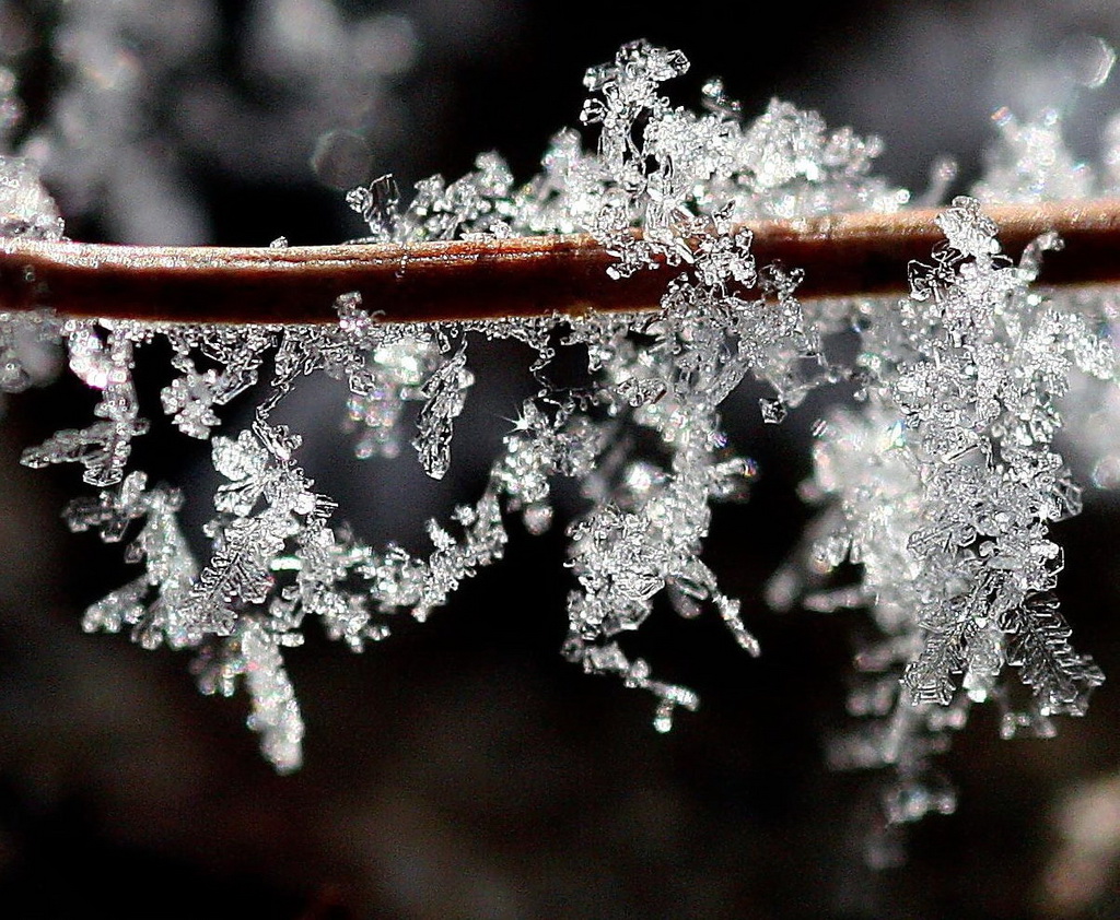 Фотография: Поэзия зимы №8 - BigPicture.ru