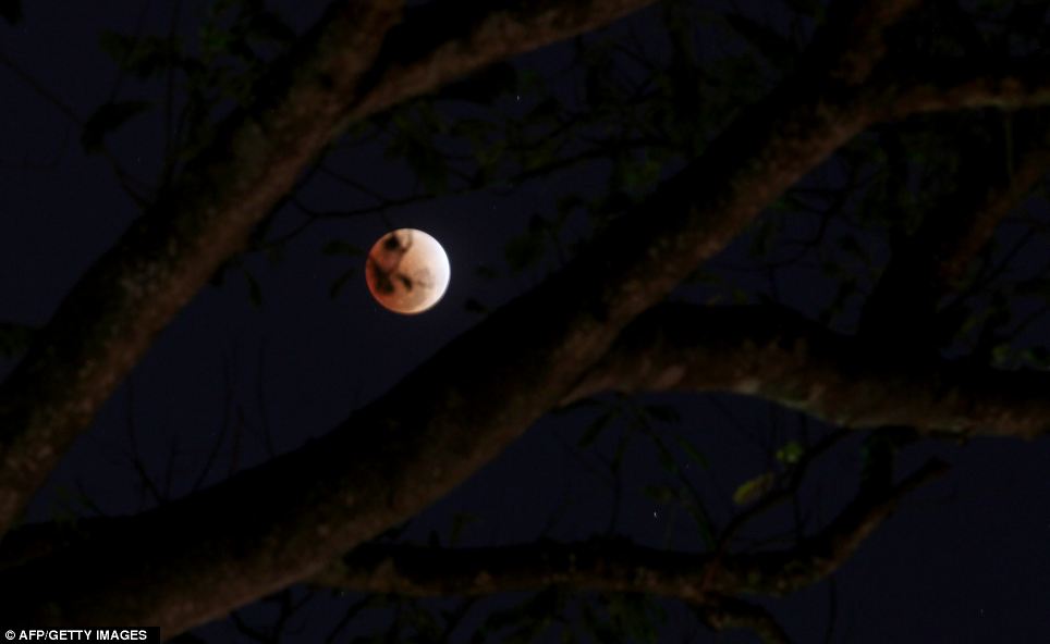 Фотография: Последнее лунное затмение 2011 года №9 - BigPicture.ru