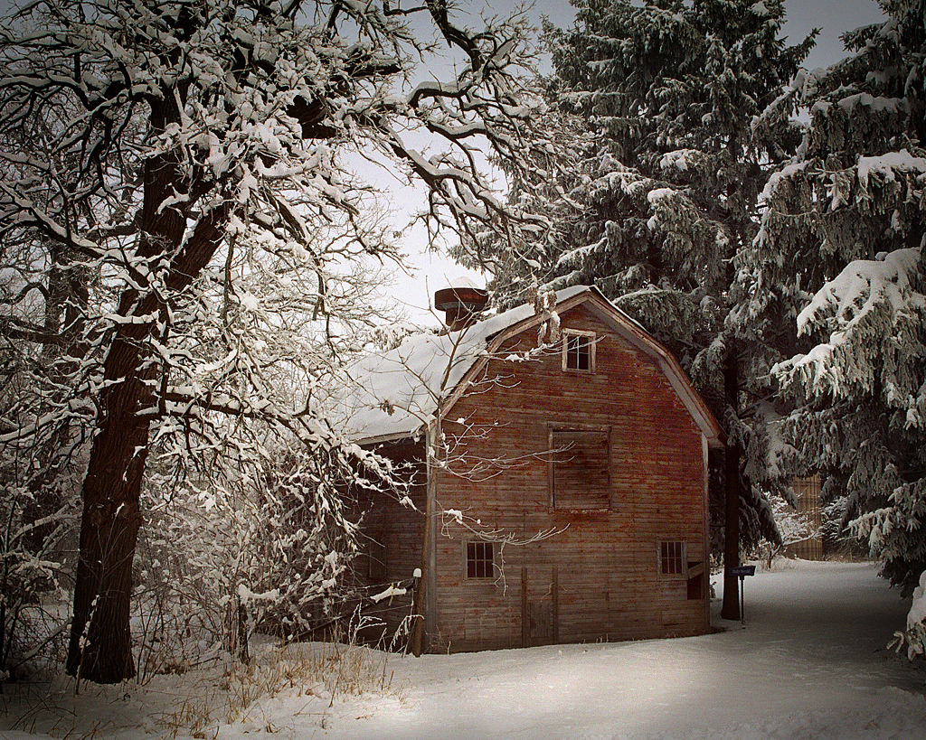 Фотография: Поэзия зимы №9 - BigPicture.ru