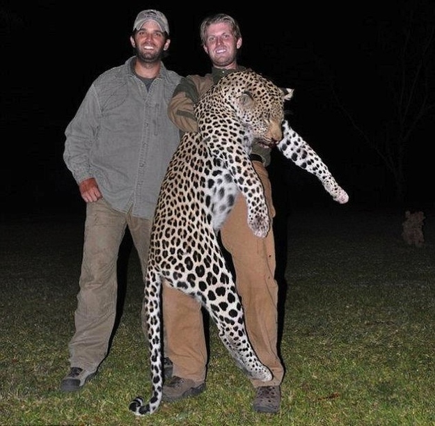 Фотография: Сыновья Дональда Трампа любят убивать животных №3 - BigPicture.ru