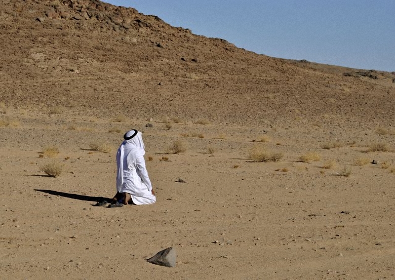 Фотография: Camel Race, а еще, как не спешить по-бедуински №7 - BigPicture.ru