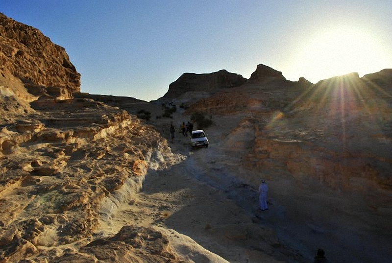 Фотография: Camel Race, а еще, как не спешить по-бедуински №9 - BigPicture.ru