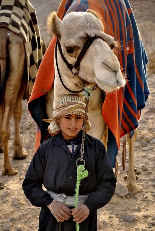 Фотография: Camel Race, а еще, как не спешить по-бедуински №17 - BigPicture.ru