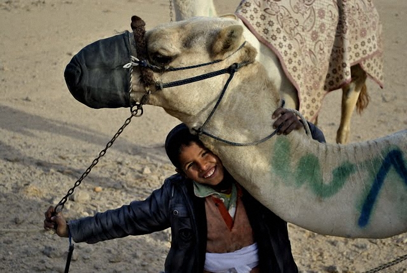Фотография: Camel Race, а еще, как не спешить по-бедуински №21 - BigPicture.ru