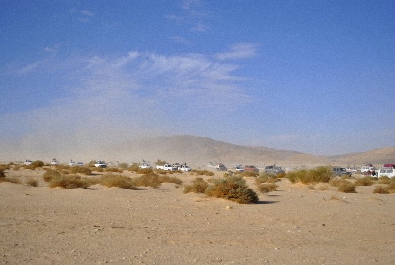 Фотография: Camel Race, а еще, как не спешить по-бедуински №24 - BigPicture.ru