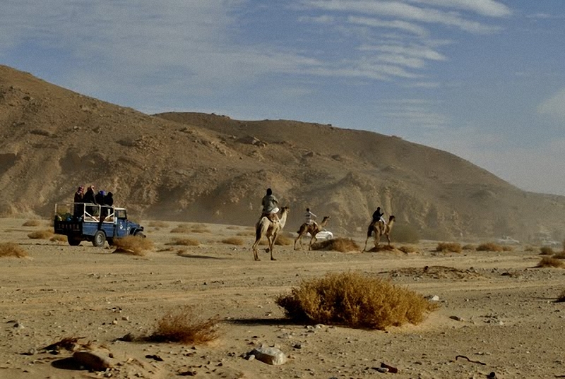 Фотография: Camel Race, а еще, как не спешить по-бедуински №25 - BigPicture.ru