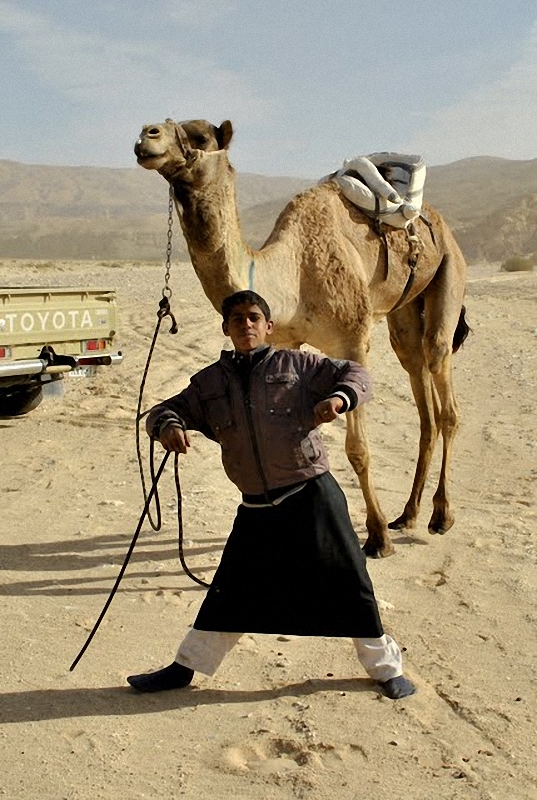 Фотография: Camel Race, а еще, как не спешить по-бедуински №28 - BigPicture.ru