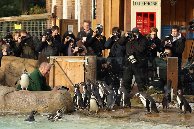 Фотография: Перепись населения Лондонского зоопарка №7 - BigPicture.ru