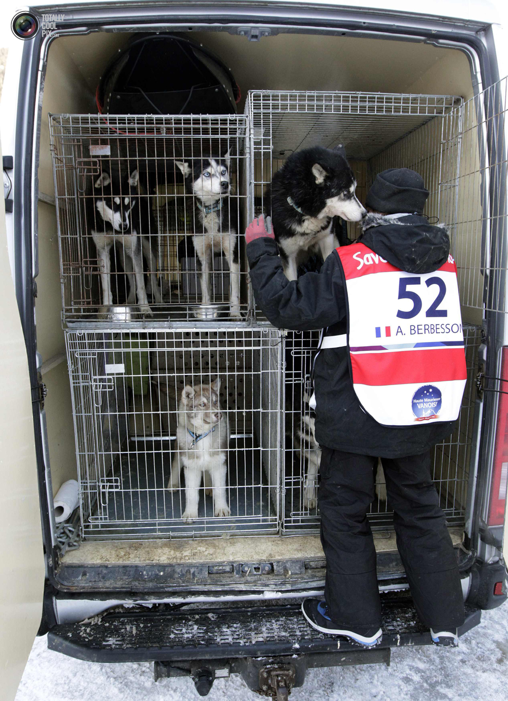 Фотография: Гонки на собачьих упряжках La Grande Odyssee №3 - BigPicture.ru