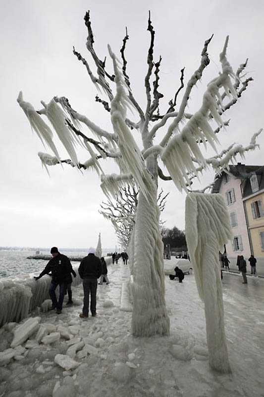 Фотография: Ледяные скульптуры на Женевском озере №19 - BigPicture.ru