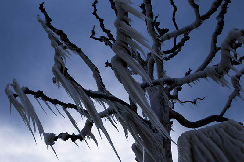 Фотография: Ледяные скульптуры на Женевском озере №5 - BigPicture.ru