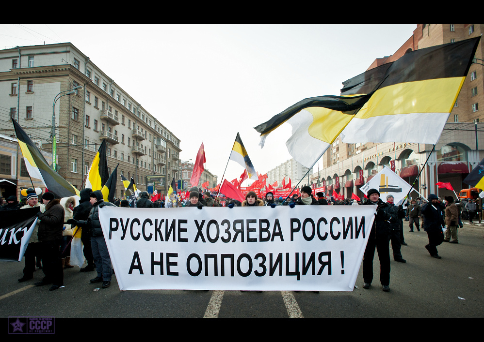 Фотография: Митинг как работа №47 - BigPicture.ru