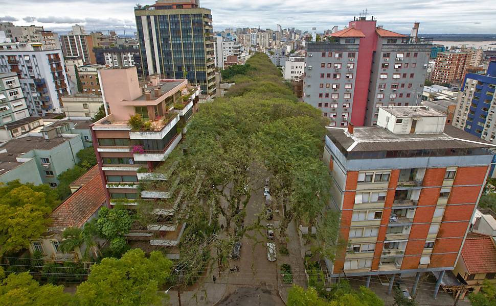 Фотография: Зеленая улица в Бразилии №8 - BigPicture.ru