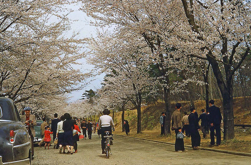 Фотография: Токио 1950-х на цветных снимках №9 - BigPicture.ru