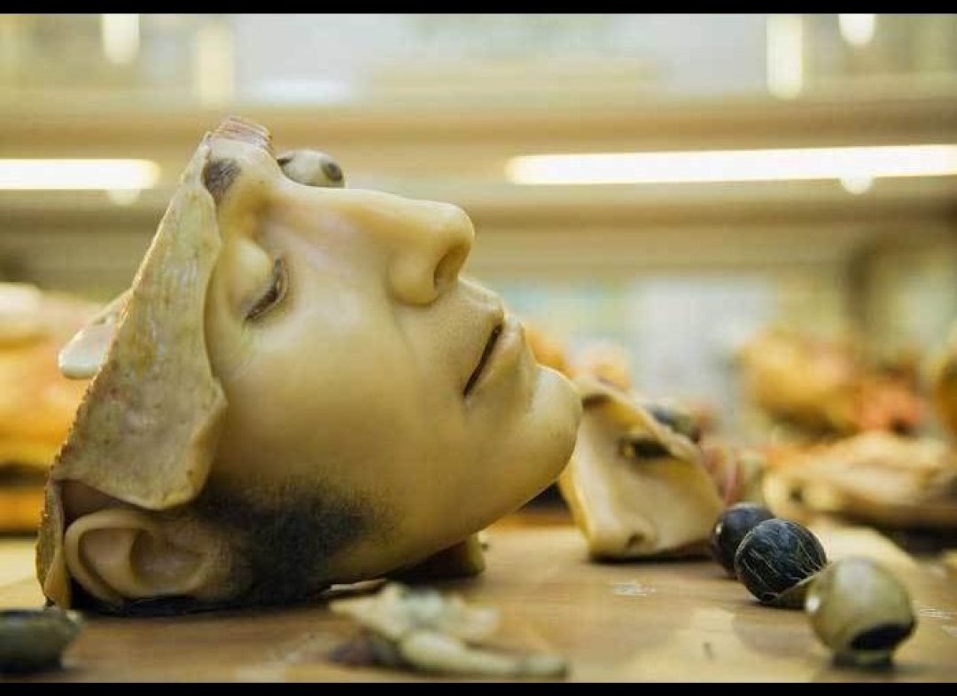 Фотография: Патологическая анатомия Джоанны Эбенштейн №9 - BigPicture.ru