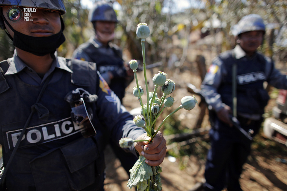 Фотография: Опиумная война в Мьянме №37 - BigPicture.ru