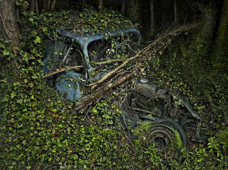 Фотография: Брошенные автомобили в объятиях природы №3 - BigPicture.ru