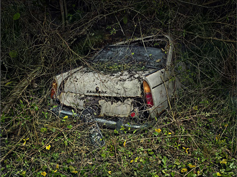 Фотография: Брошенные автомобили в объятиях природы №4 - BigPicture.ru